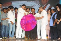 Prabhanjanam Audio Launch